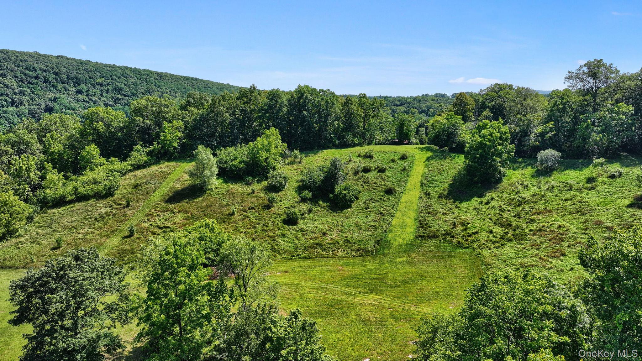 470 Little Britain Road Newburgh, NY 12550 - Photo 9 of 45 Aerial view of a forest
