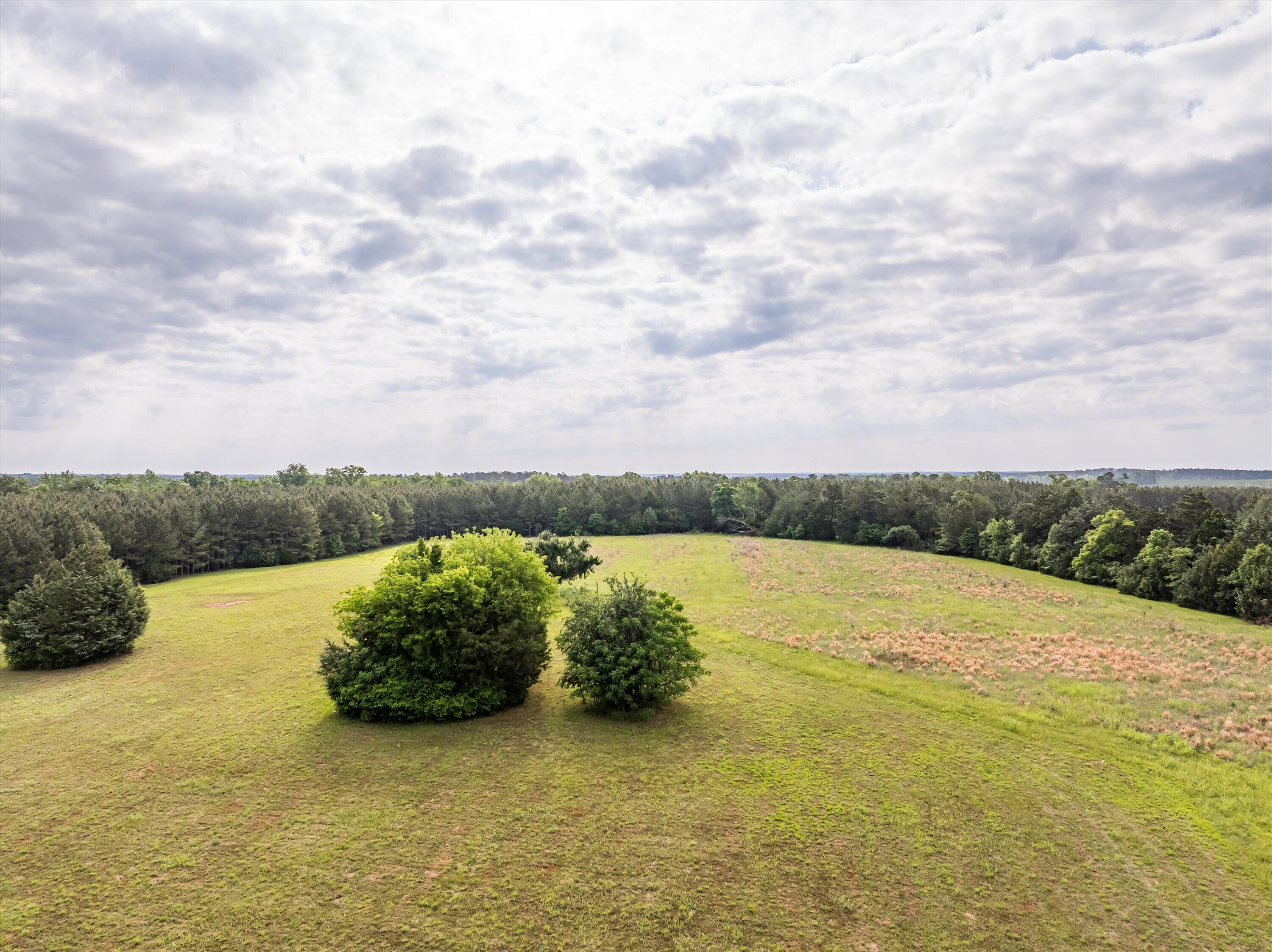 5740 Cobbham Road Appling, GA 30802 - Photo 9 of 29 37-Lot 1_15