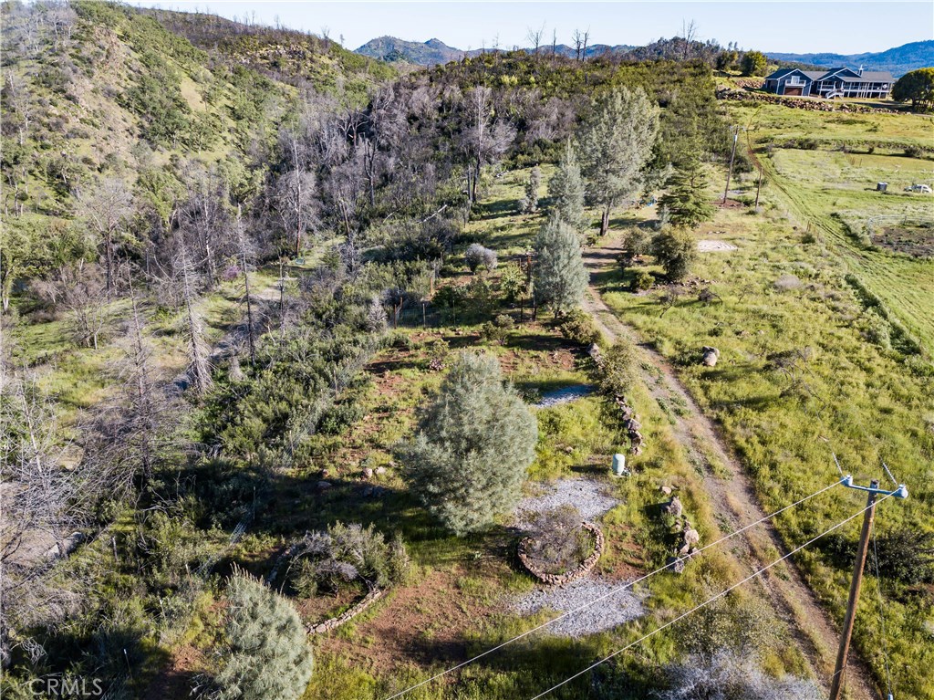 21541 Yankee Valley Road Hidden Valley Lake, CA 95467 - Photo 13 of 75 a view of a forest with an outdoor space