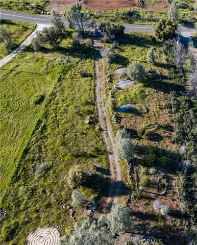 a view of a garden with a tree