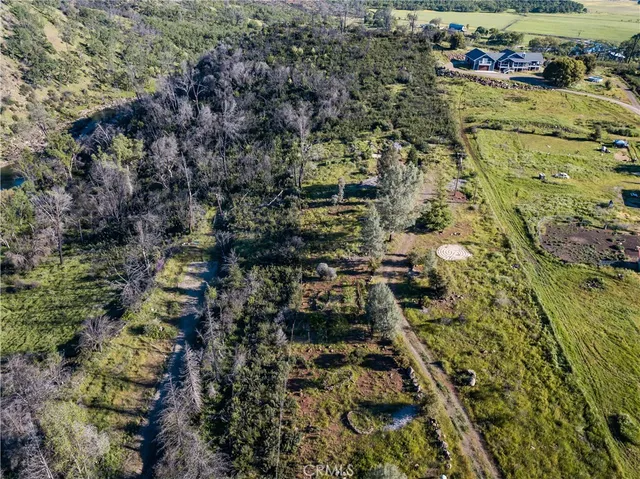 a view of a yard with plants