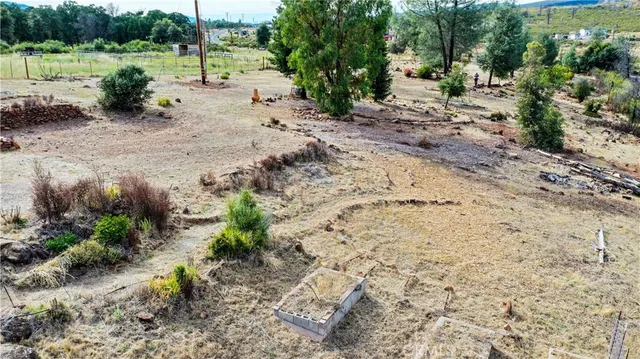 a view of a dry yard with trees