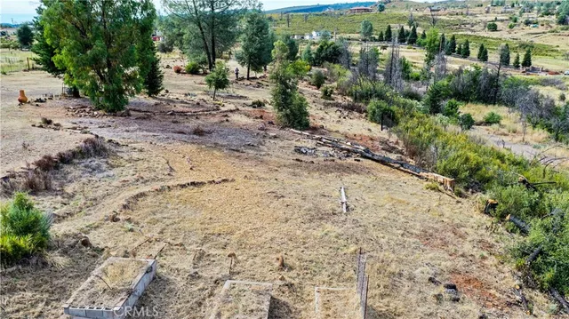 a view of backyard with a tree