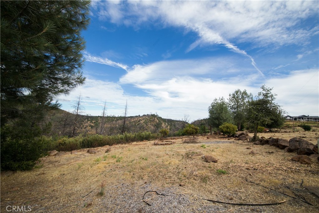 21541 Yankee Valley Road Hidden Valley Lake, CA 95467 - Photo 38 of 75 a view of a yard