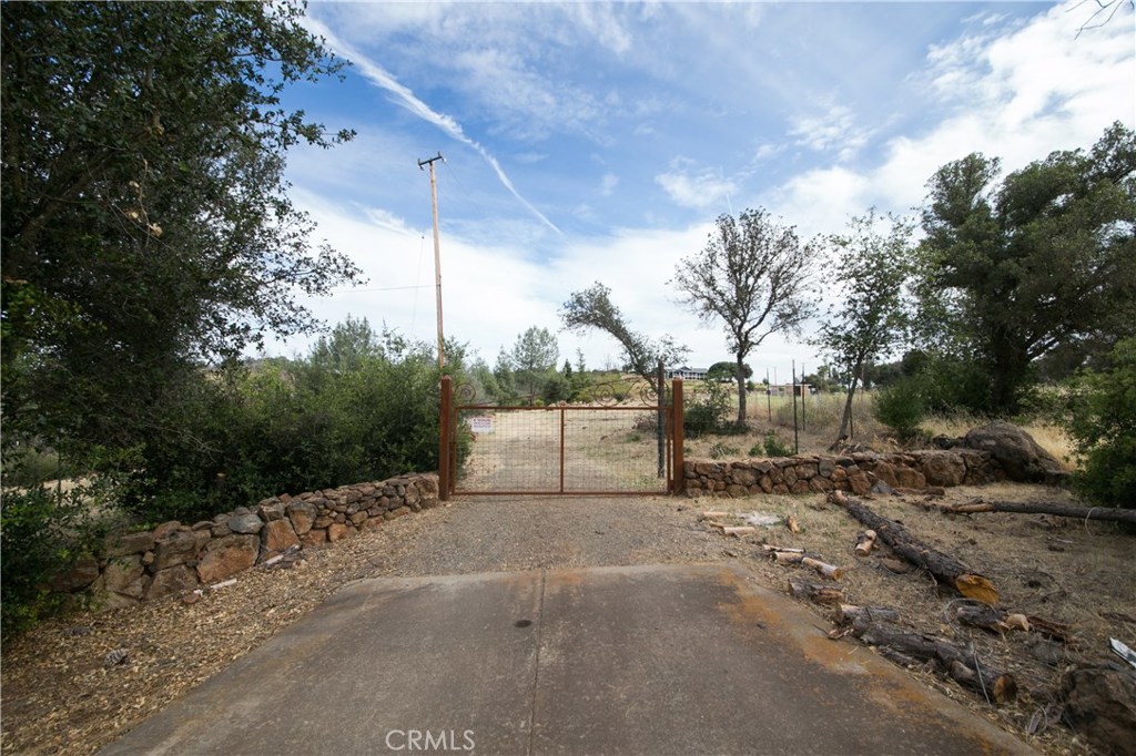 21541 Yankee Valley Road Hidden Valley Lake, CA 95467 - Photo 41 of 75 a view of a dry yard with trees