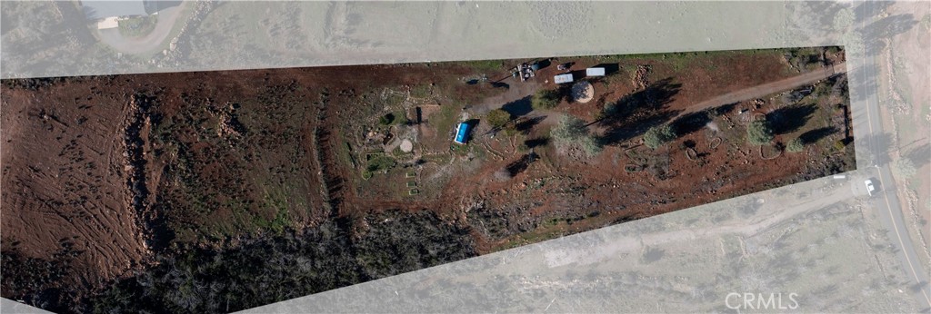 21541 Yankee Valley Road Hidden Valley Lake, CA 95467 - Photo 73 of 75 a view of a plant in a yard