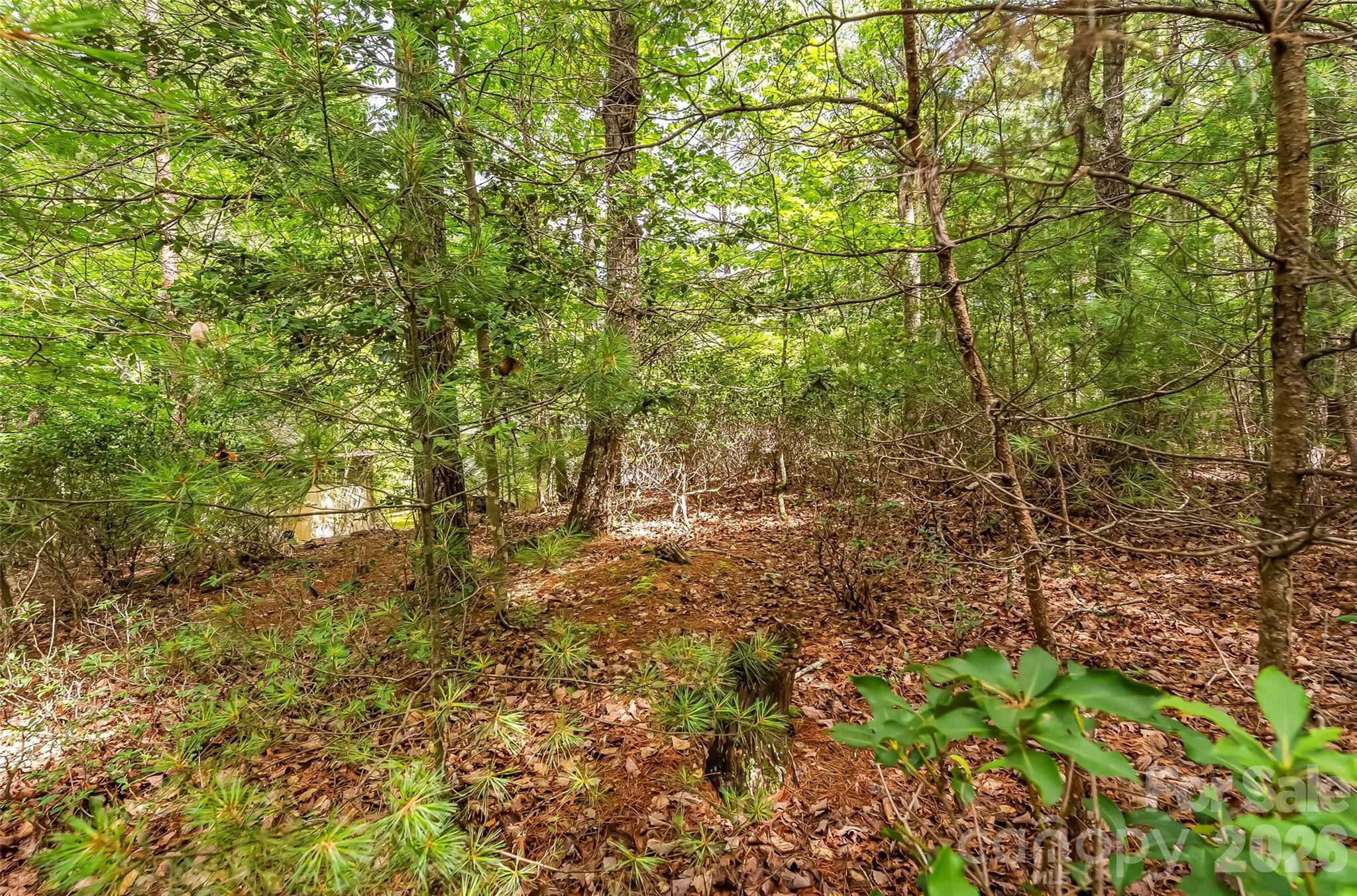2040 Hampson Road Morganton, NC 28655 - Photo 10 of 14