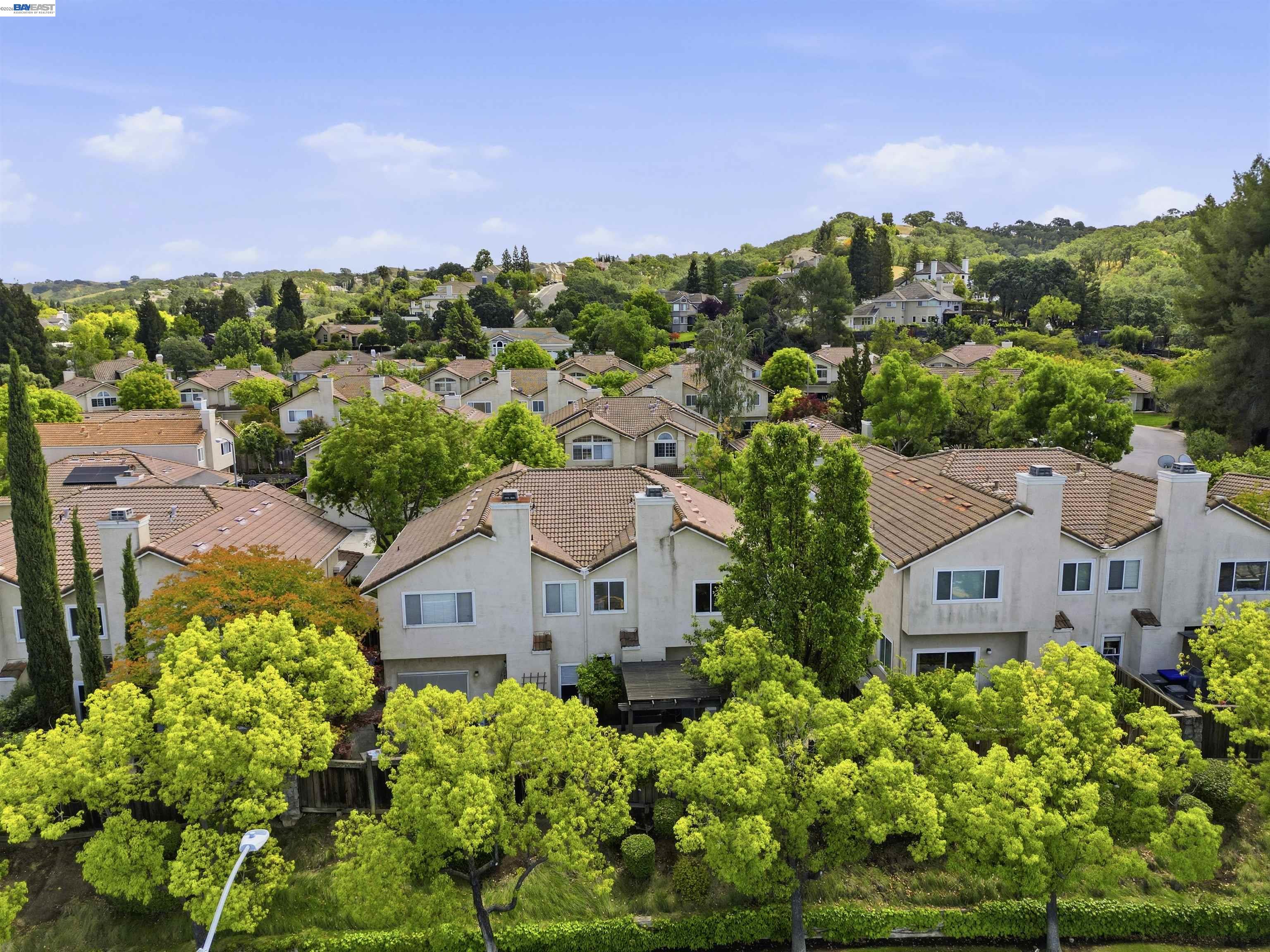 4161 Garibaldi Place Pleasanton, CA 94566 - Photo 44 of 47 an aerial view of a house with a garden