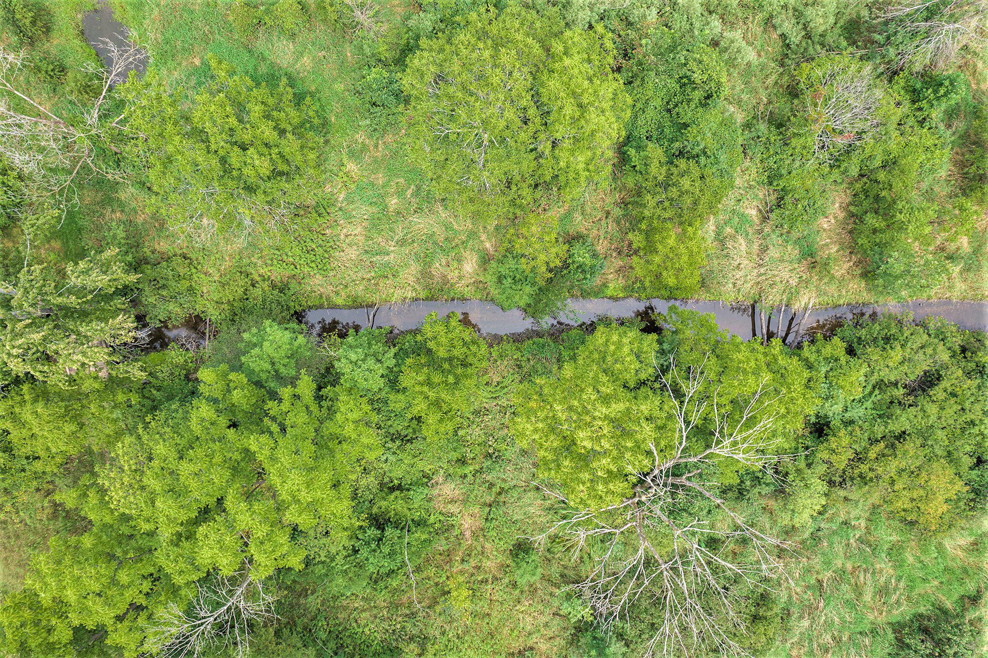 2601 Zion Road Rives Junction, MI 49277 - Photo 64 of 71 62