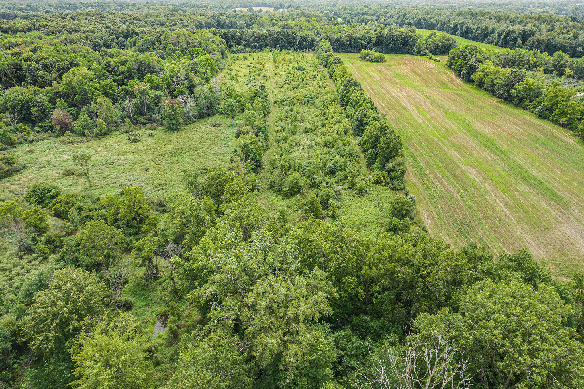 2601 Zion Road Rives Junction, MI 49277 - Photo 65 of 71 63