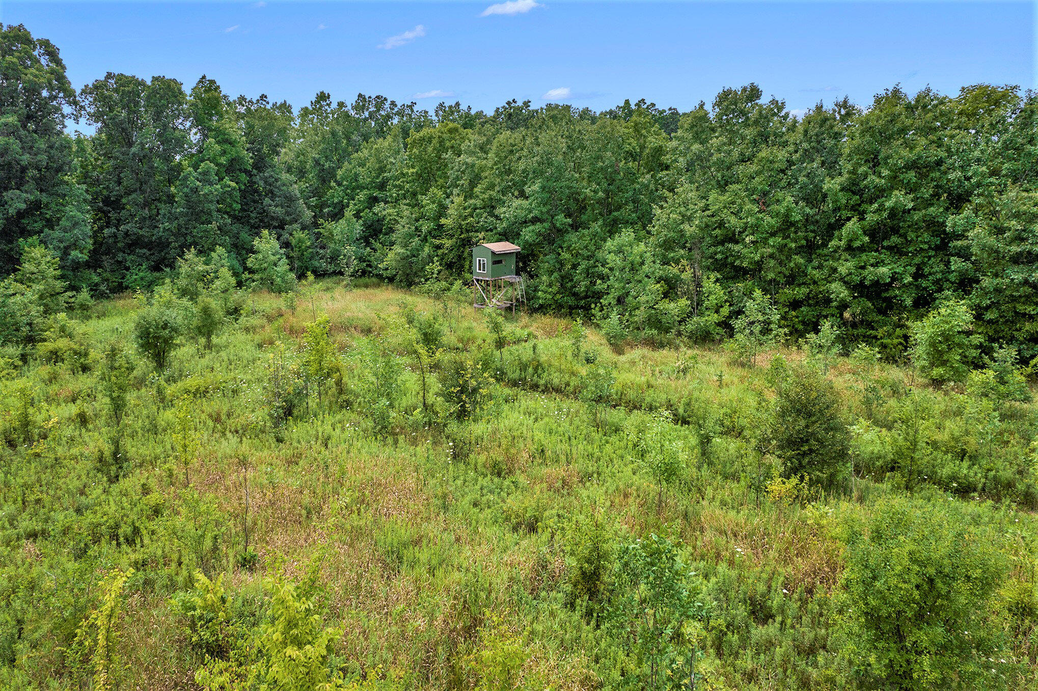 2601 Zion Road Rives Junction, MI 49277 - Photo 66 of 71 64