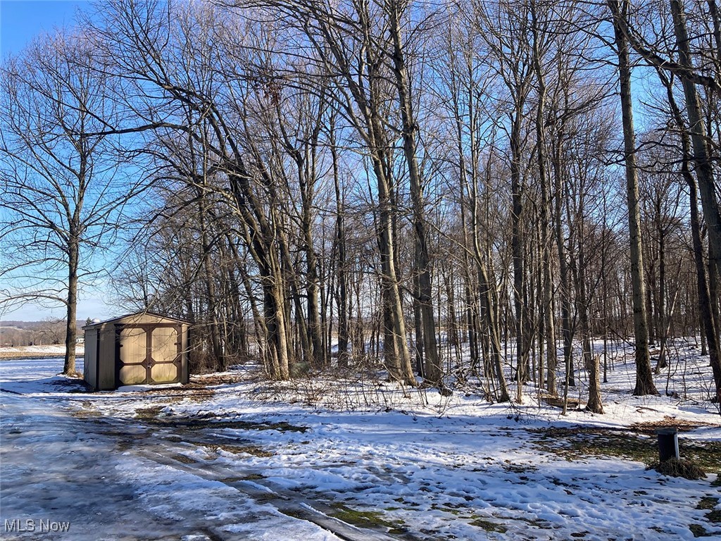 3718 Babcock Road Williamsfield, OH 44093 - Photo 15 of 31 Yard covered in snow featuring a shed