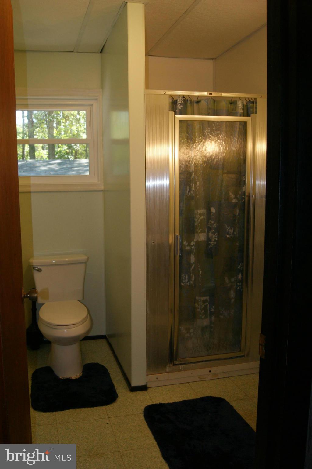 6805 Mackall Road St. Leonard, MD 20685 - Photo 20 of 30 a bathroom with a toilet and a shower