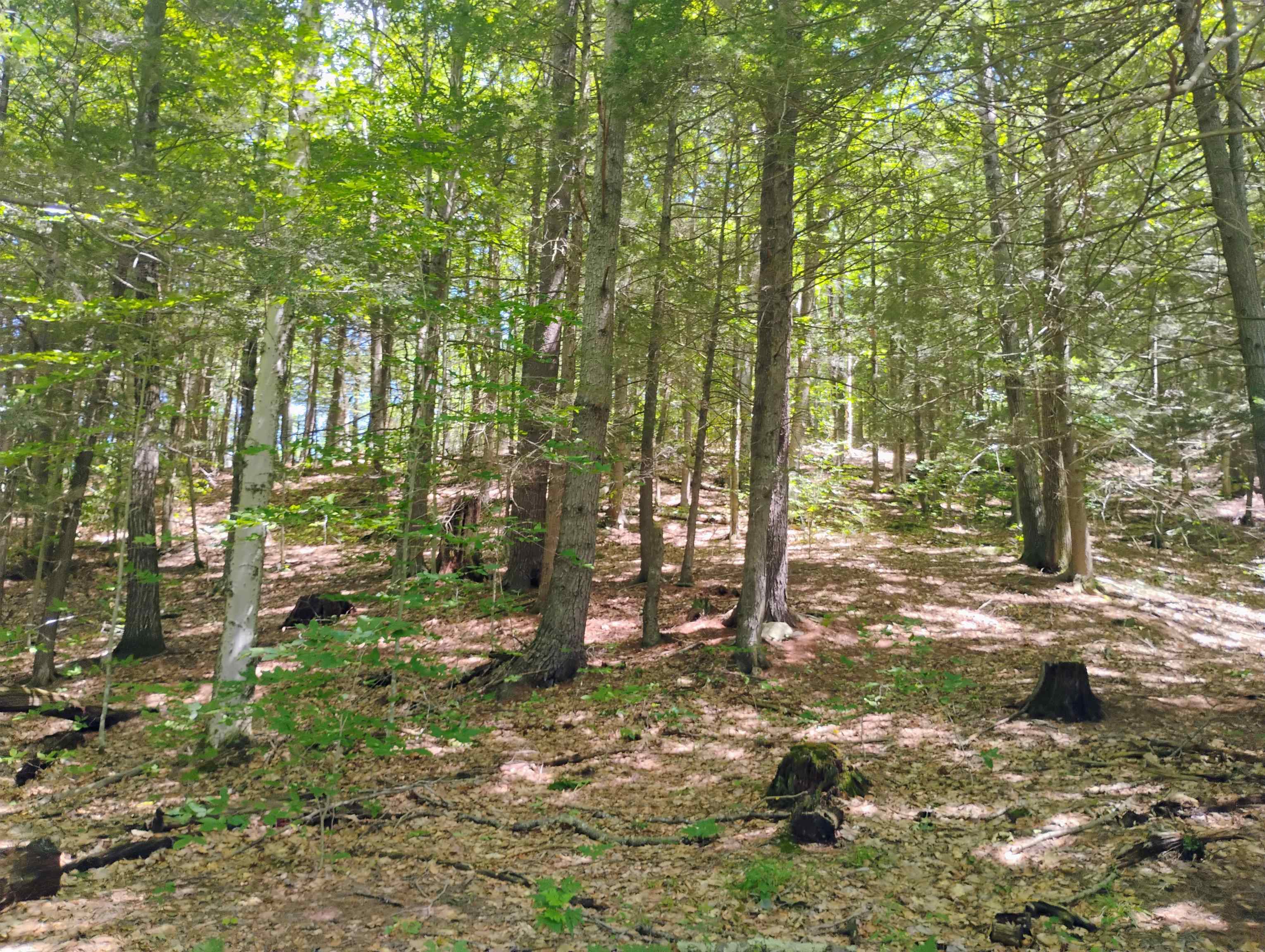 160 Akley Road Brattleboro, VT 05301 - Photo 10 of 40
