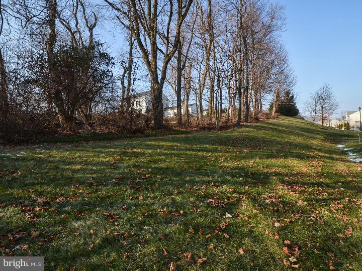 296 Flagstone Road, Unit 2 Chester Springs, PA 19425 - Photo 22 of 25 Back Yard