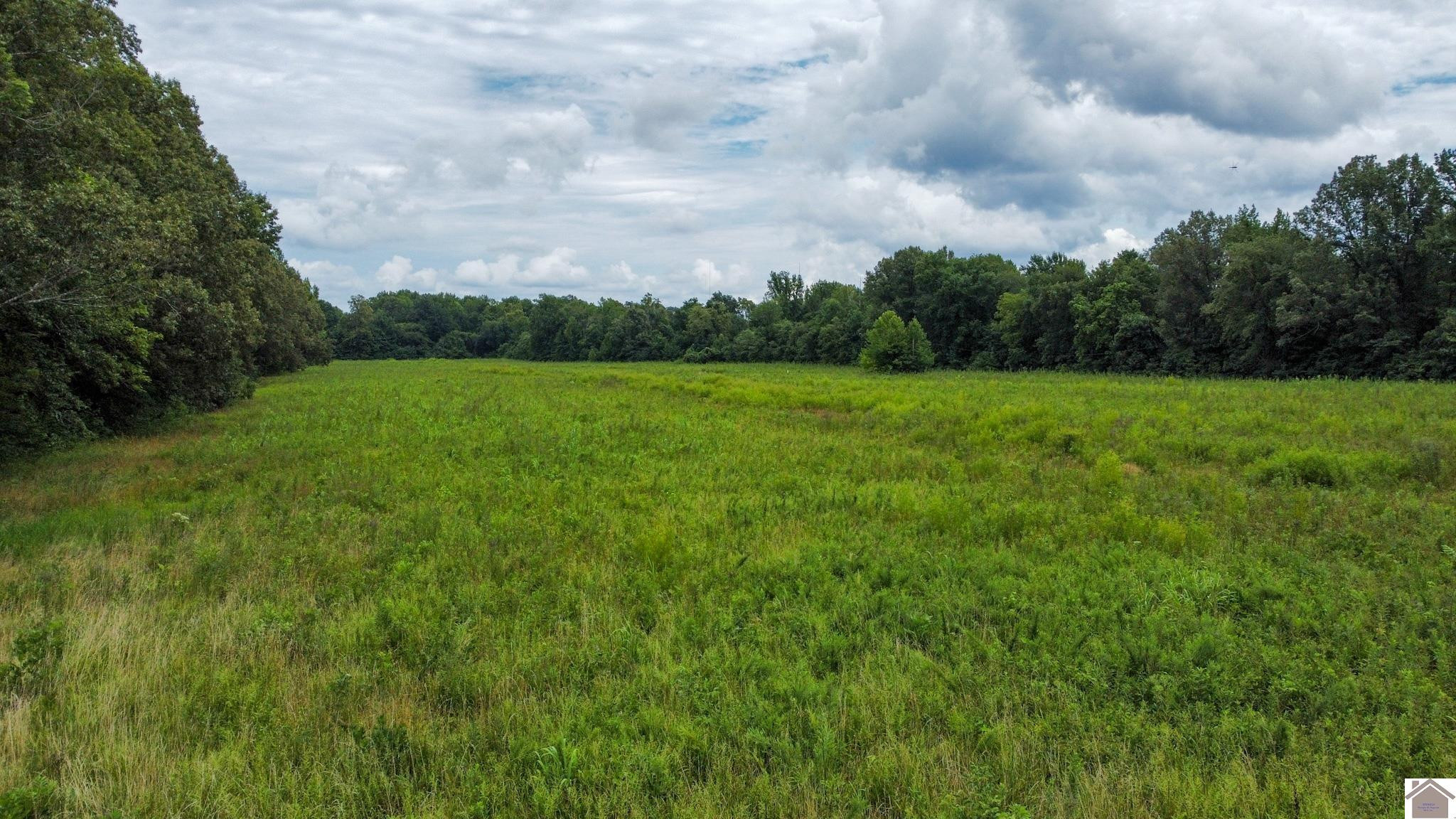 5400 Old Mayfield Road Paducah, KY 42003 - Photo 11 of 13 Photo 11