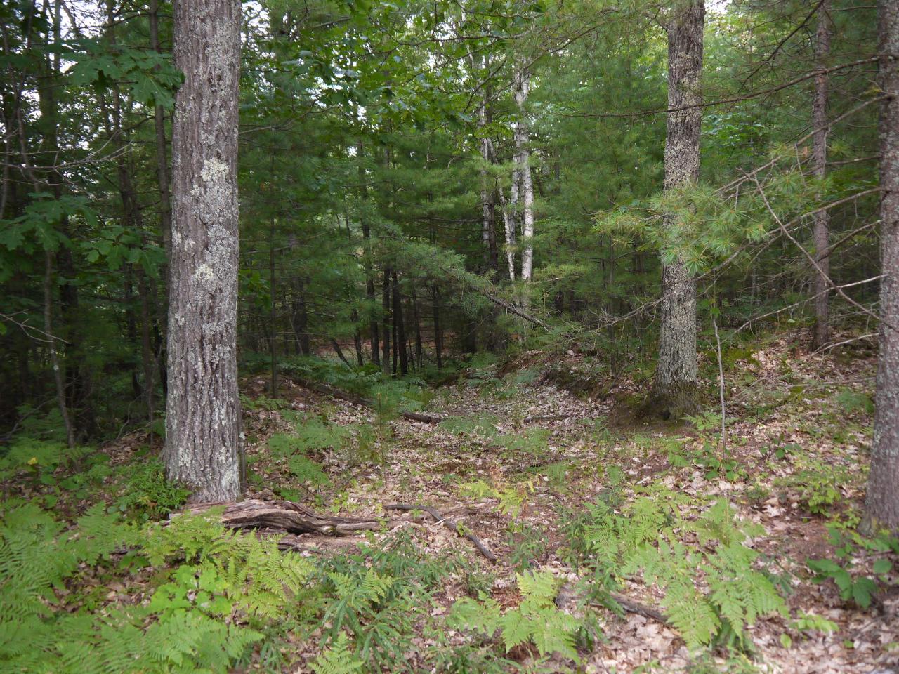 Near Oak Lane Eagle River, WI 54521 - Photo 15 of 28 Gallery Image 15