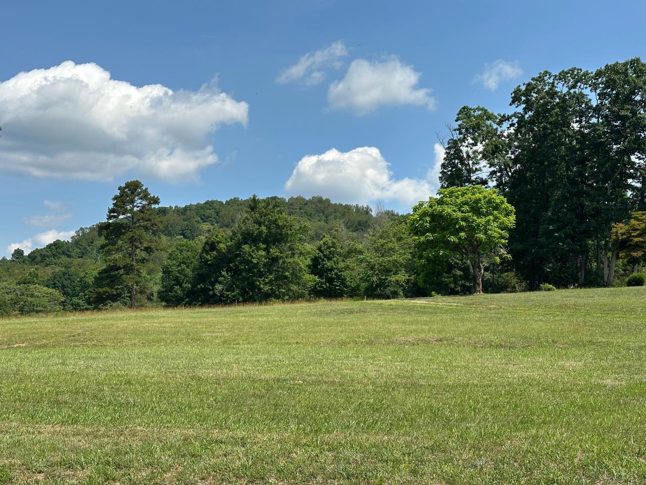2225 Irving Road Thaxton, VA 24174 - Photo 42 of 45