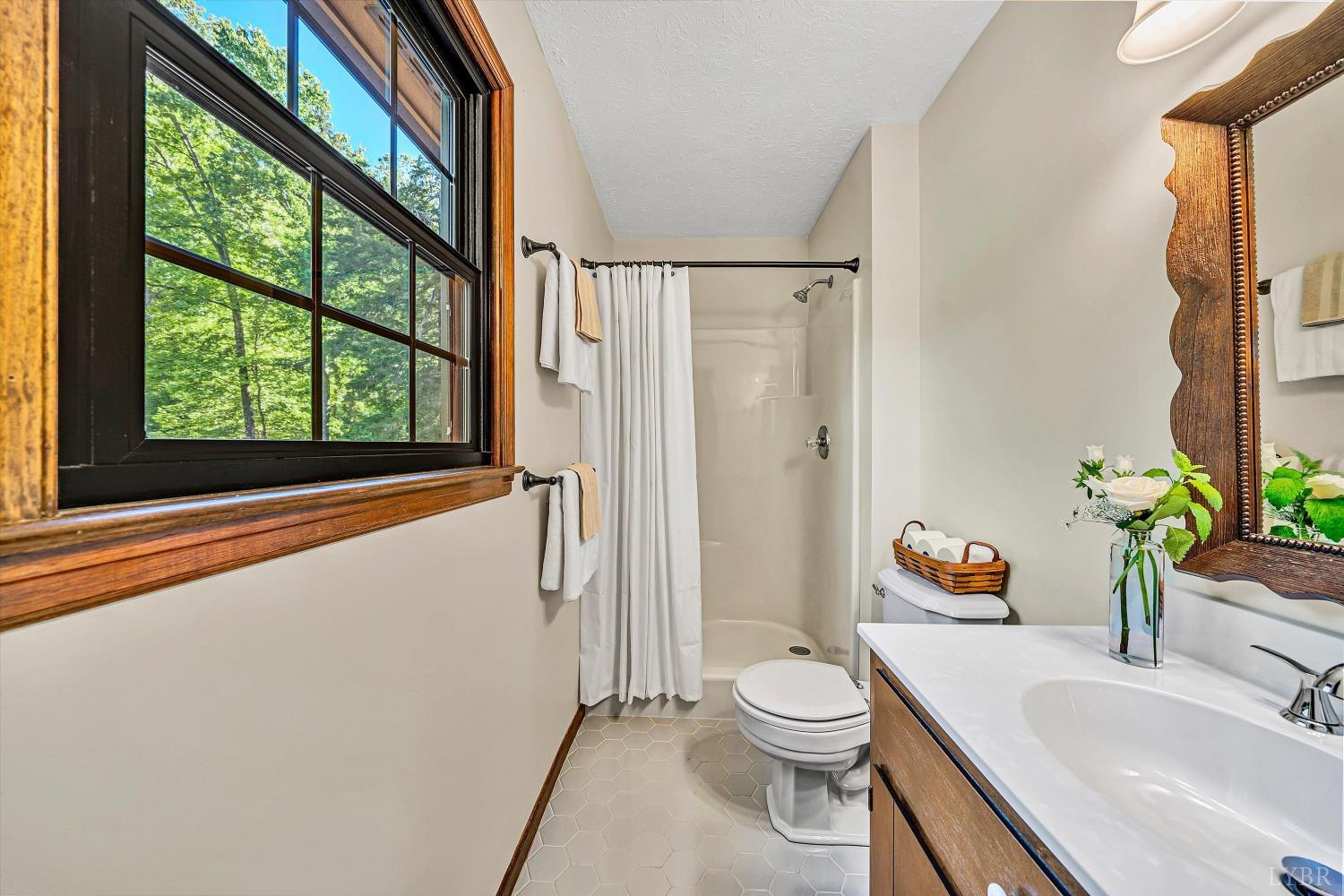 301 Brookfield Road Lynchburg, VA 24503 - Photo 33 of 59