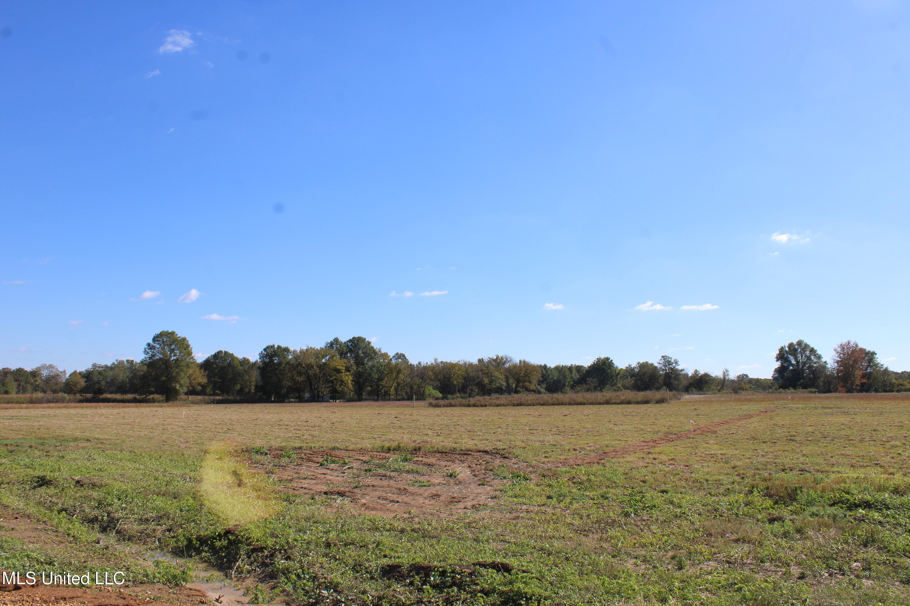 28 Pin Oak Road Michigan City, MS 38647 - Photo 5 of 22 IMG_6901