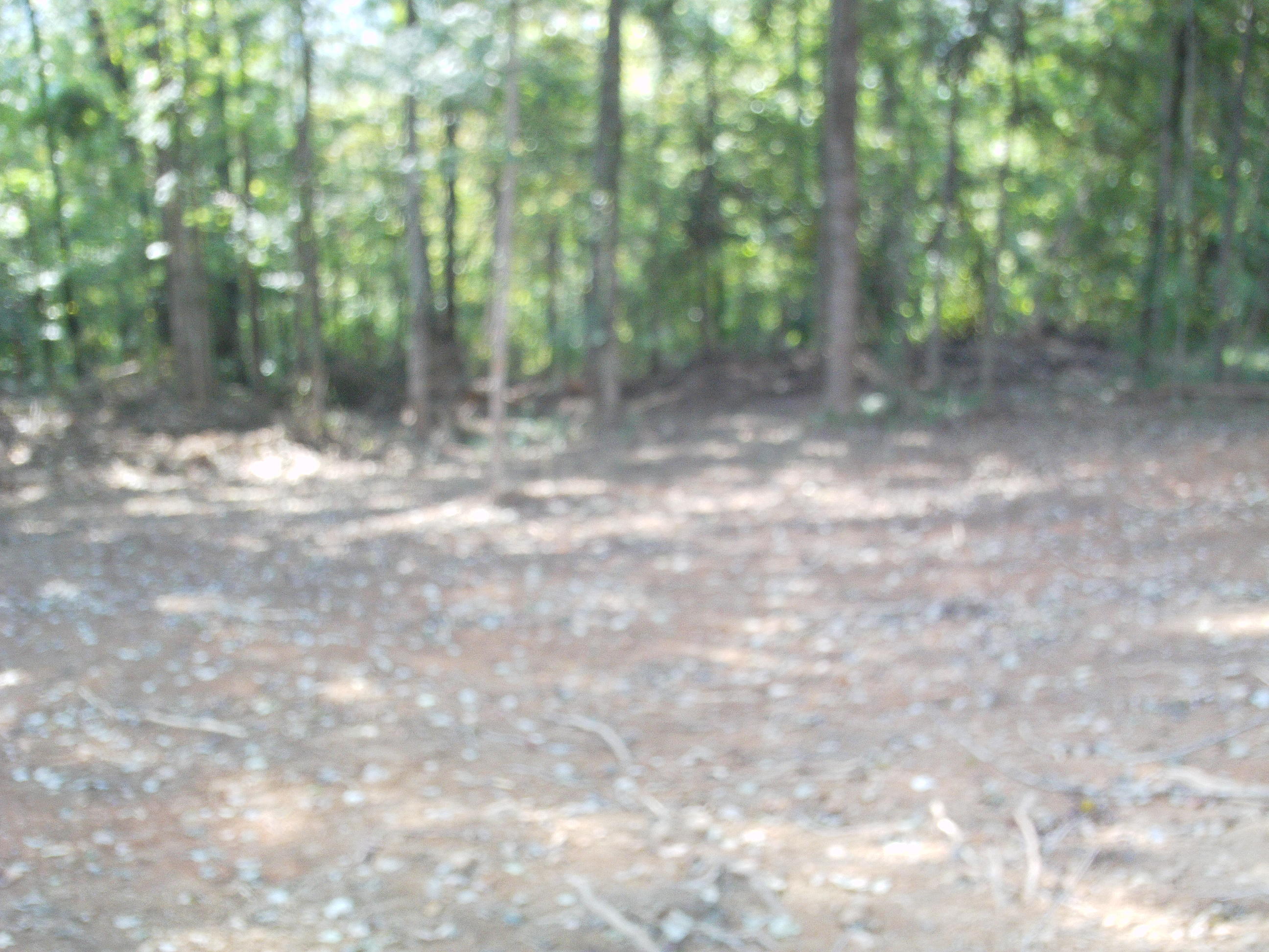 3316 Shagbark Road Powell, TN 37849 - Photo 13 of 19 IMAG0966