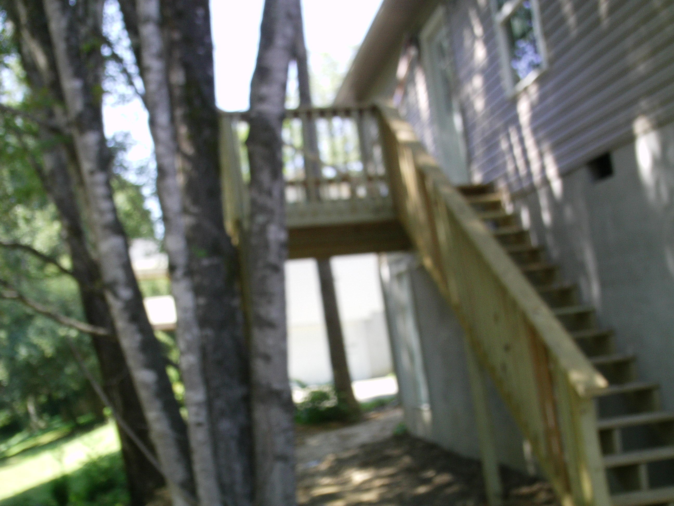 3316 Shagbark Road Powell, TN 37849 - Photo 3 of 19 IMAG0951