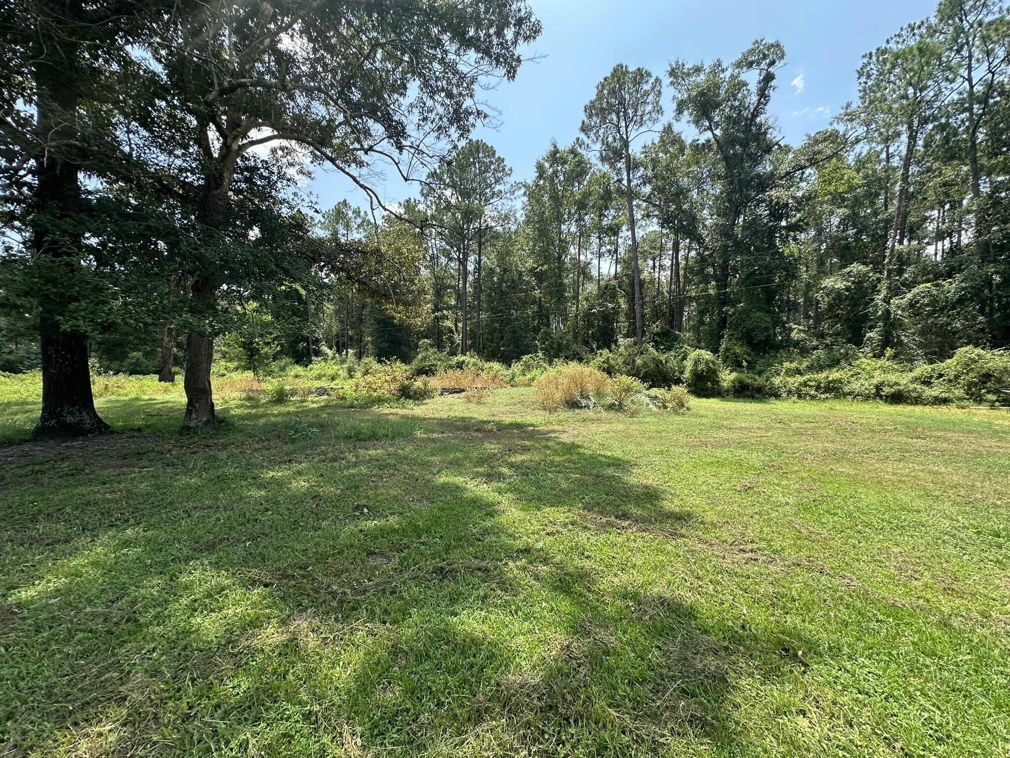 Lot 5 Bullard Road Milton, FL 32570 - Photo 4 of 10 IMG_1514