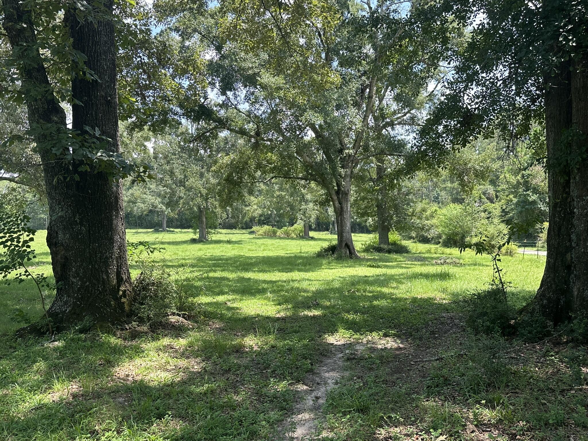 Lot 5 Bullard Road Milton, FL 32570 - Photo 7 of 10 IMG_1618