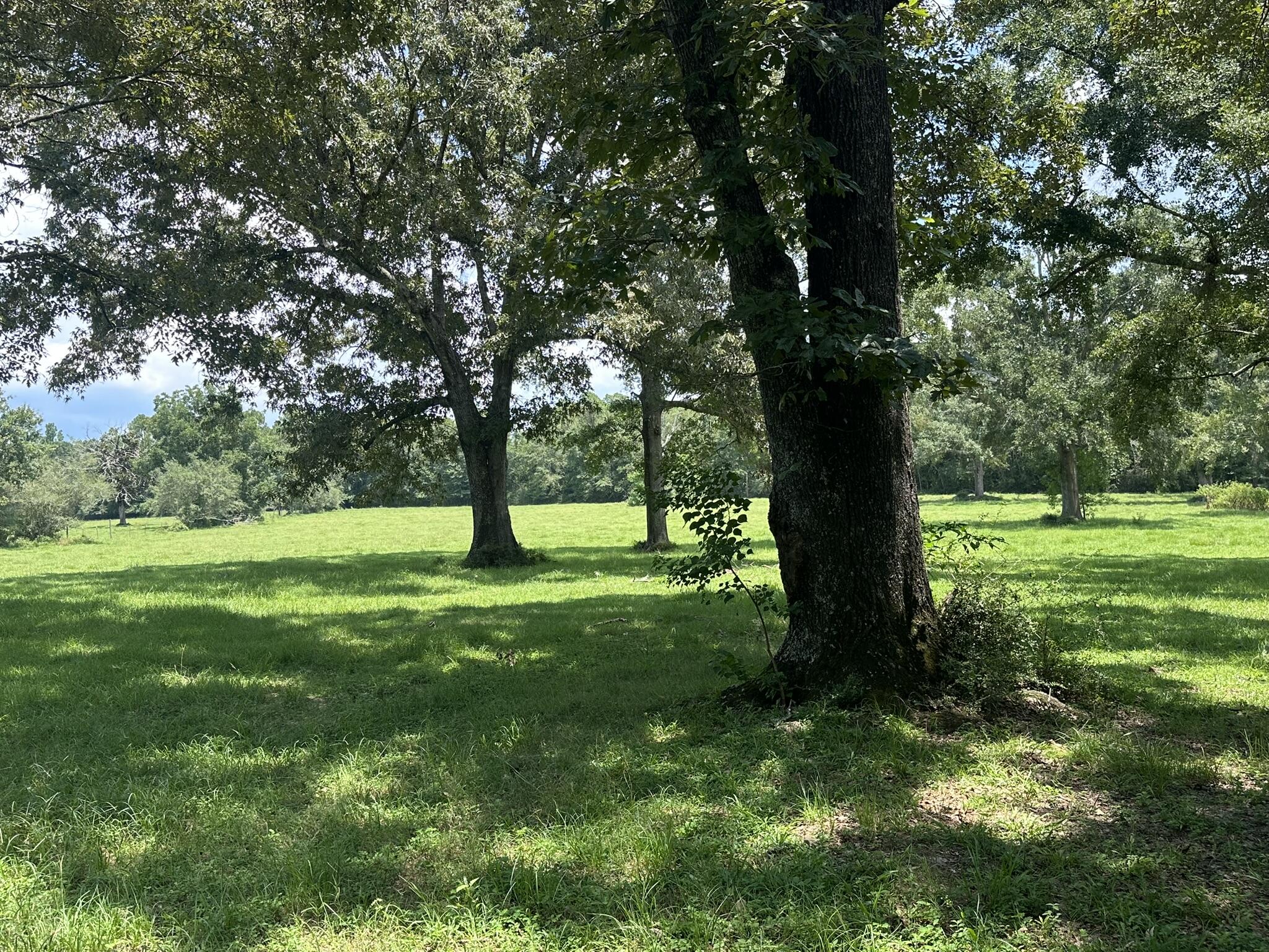 Lot 5 Bullard Road Milton, FL 32570 - Photo 8 of 10 IMG_1619