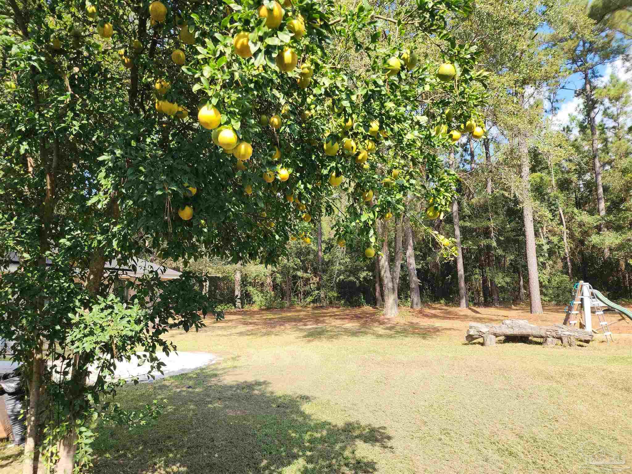 5560 Morgan Road Walnut Hill, FL 32568 - Photo 45 of 63