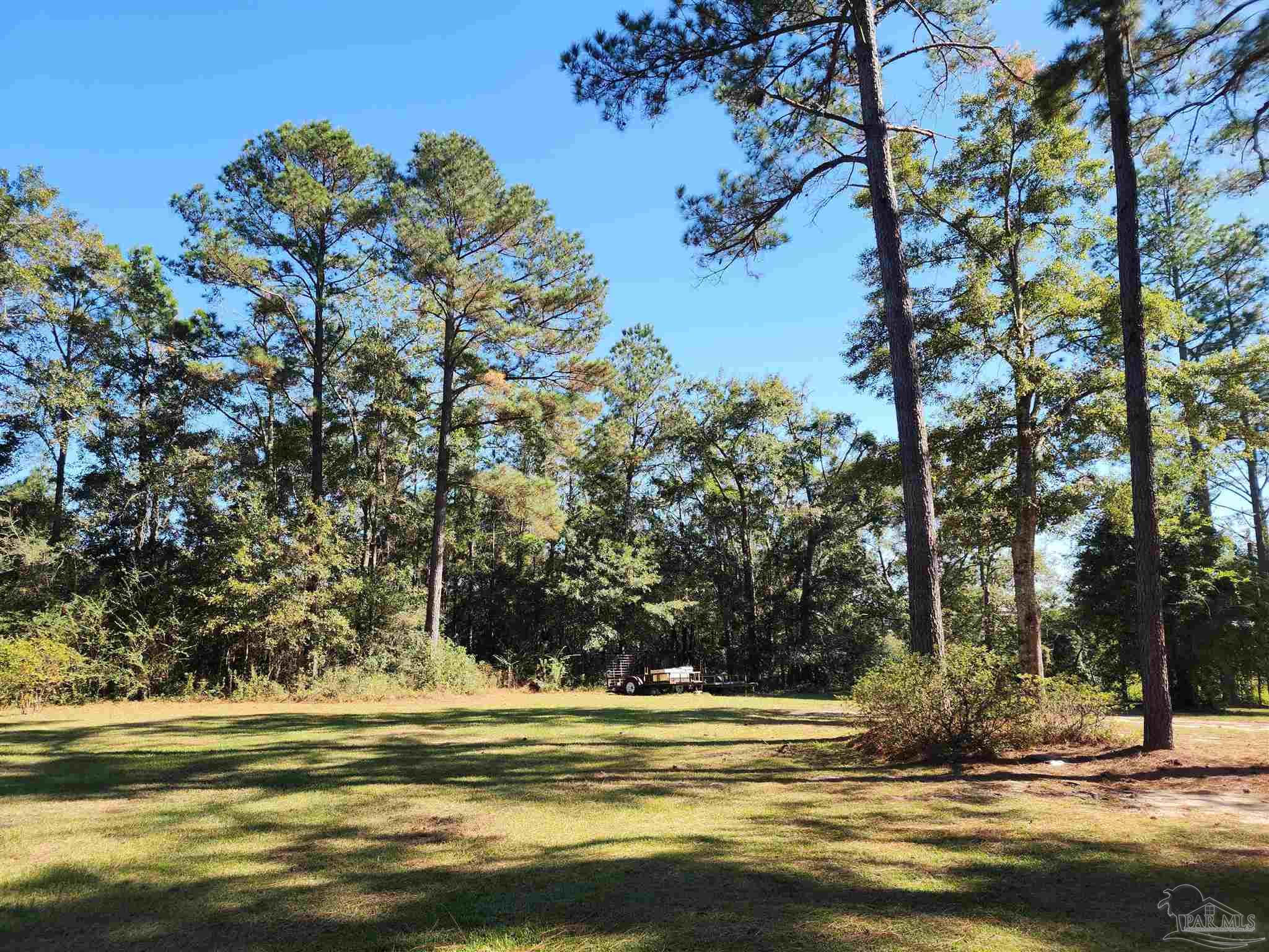 5560 Morgan Road Walnut Hill, FL 32568 - Photo 57 of 63 a view of a yard with a tree