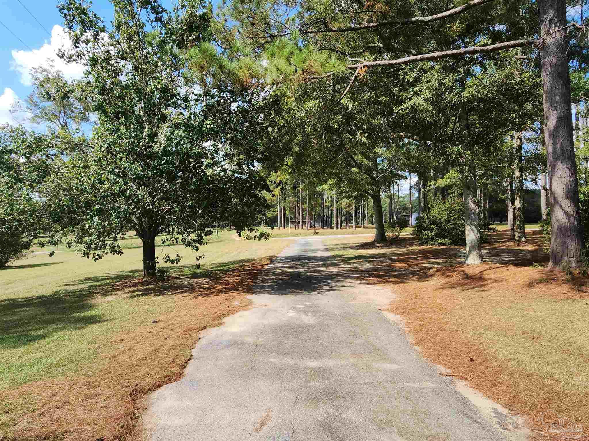5560 Morgan Road Walnut Hill, FL 32568 - Photo 61 of 63 a view of a yard with a tree