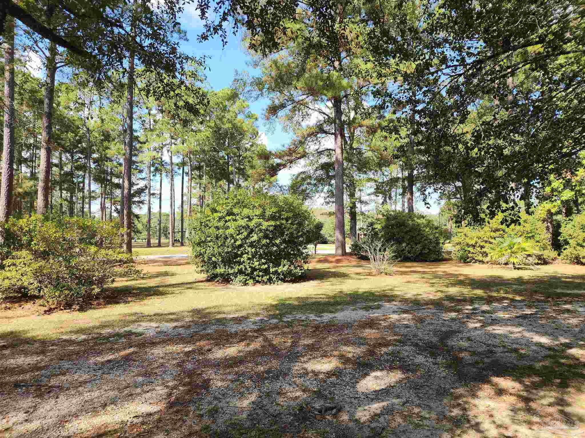 5560 Morgan Road Walnut Hill, FL 32568 - Photo 7 of 63 a view of a yard with plants and trees
