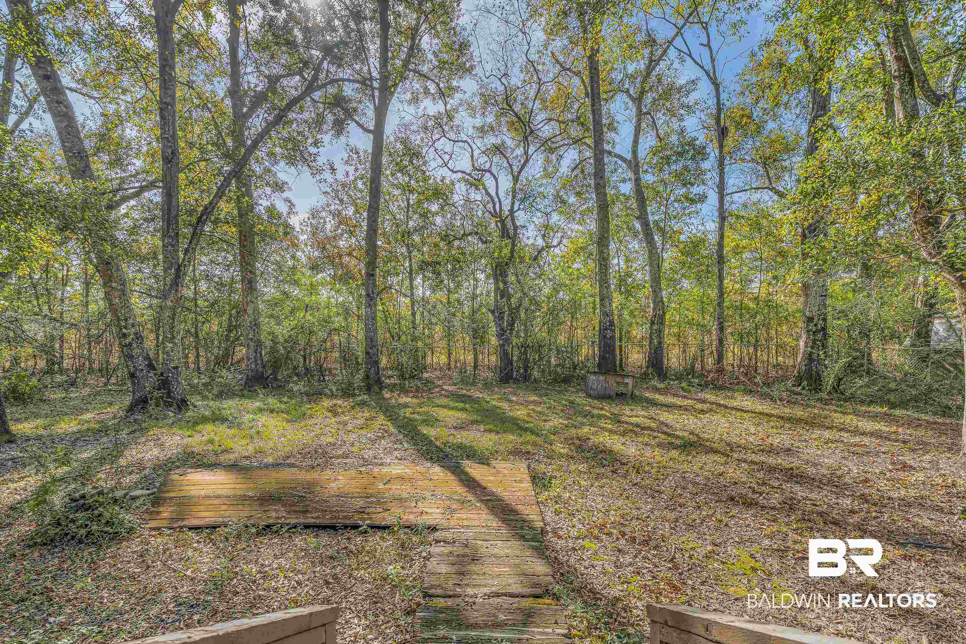 7787 Bellingrath Road Theodore, AL 36582 - Photo 10 of 36 View of yard