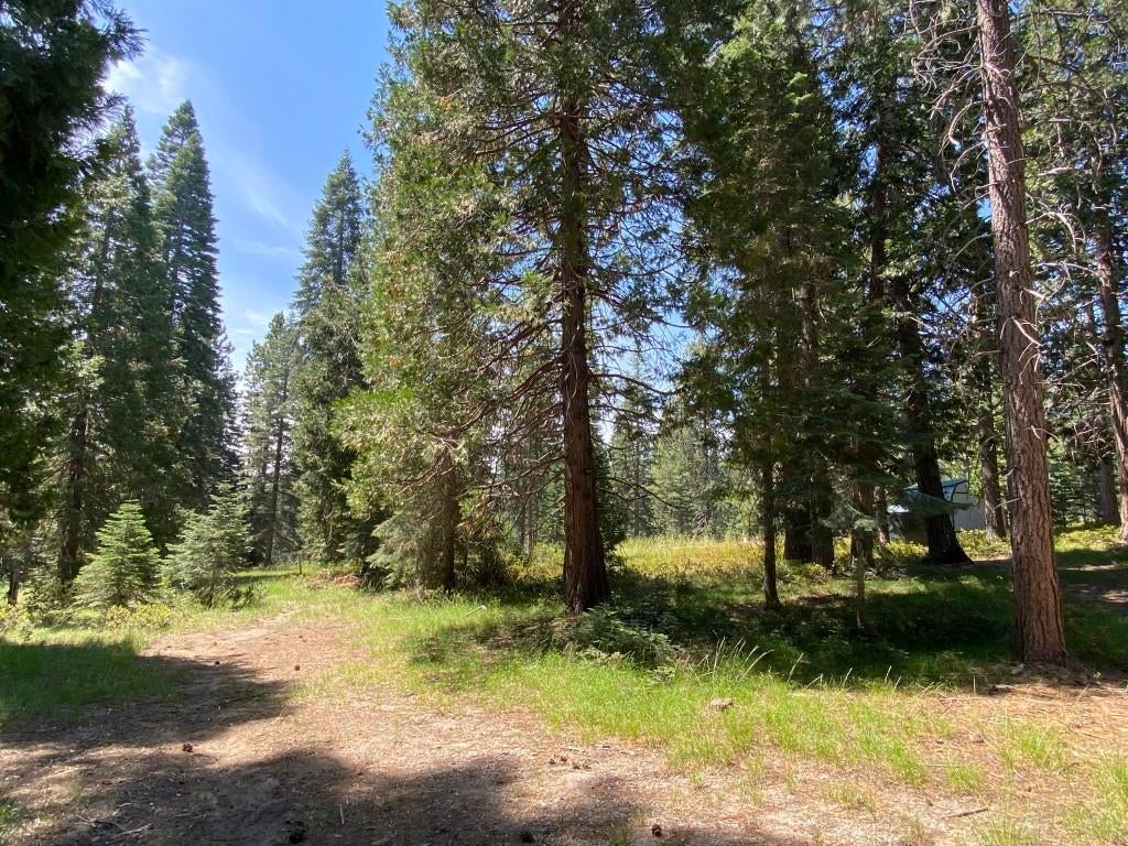3-e-44 Red Fir Road McCloud, CA 96057 - Photo 23 of 32 Gallery Image 23