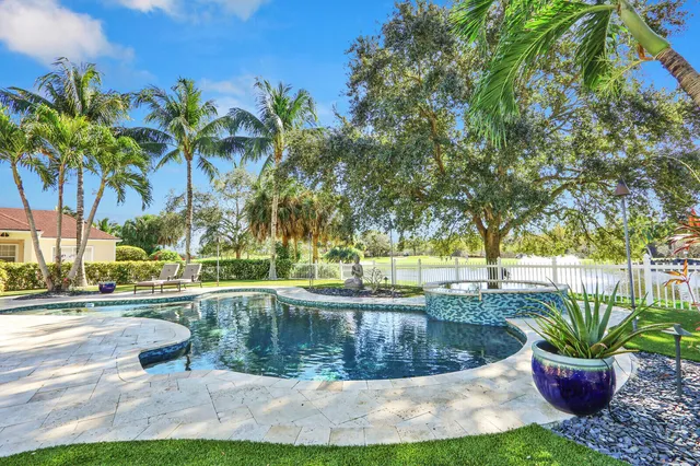 a view of a yard with plants