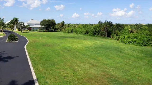 a small garden in the back yard