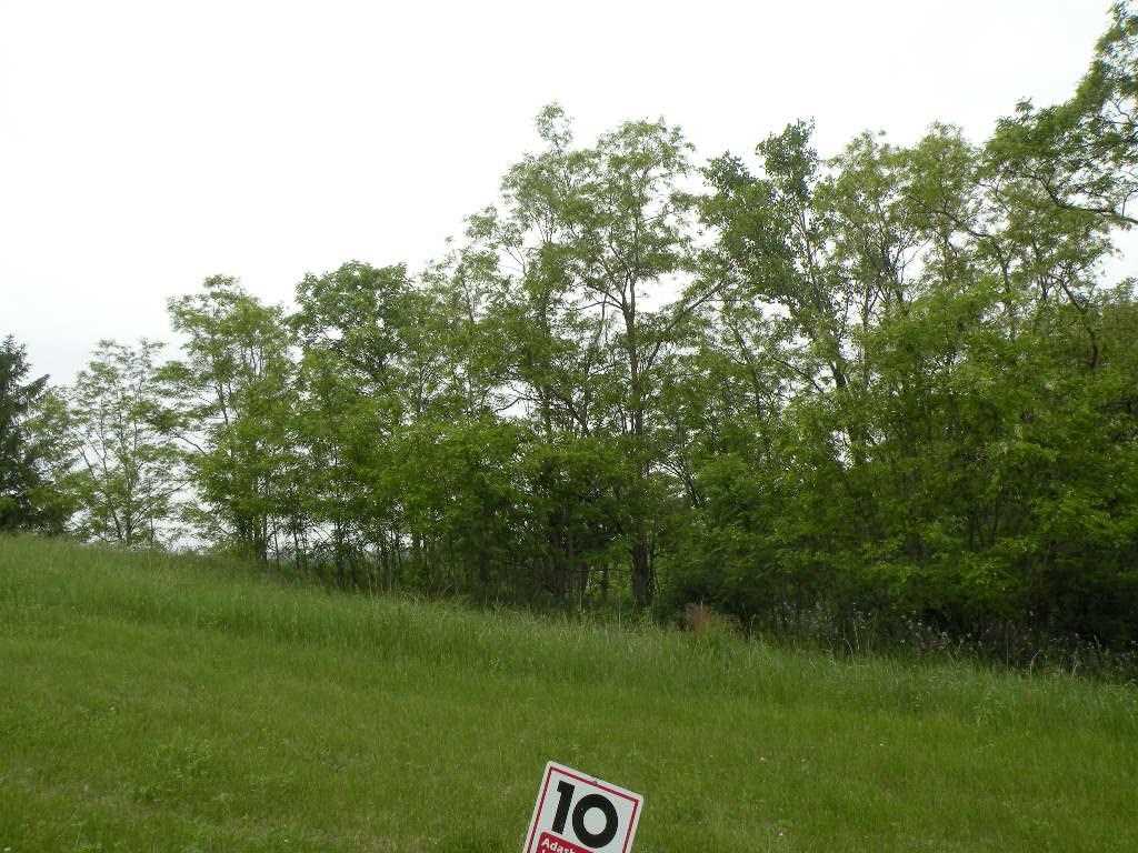 1052 Combe Street Ripon, WI 54971 - Photo 1 of 4