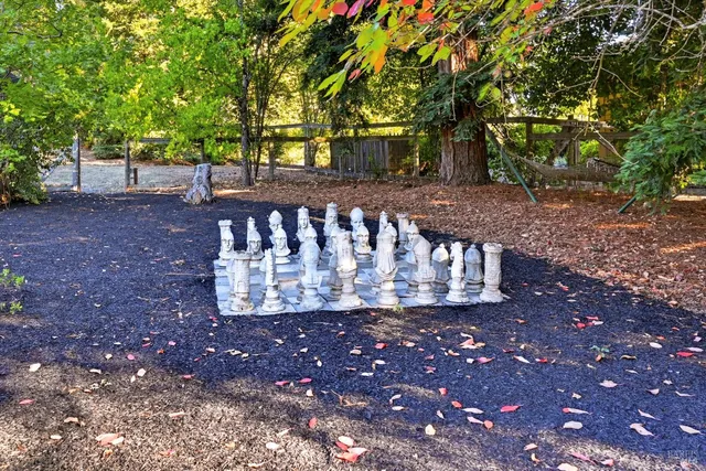a view of a yard with street