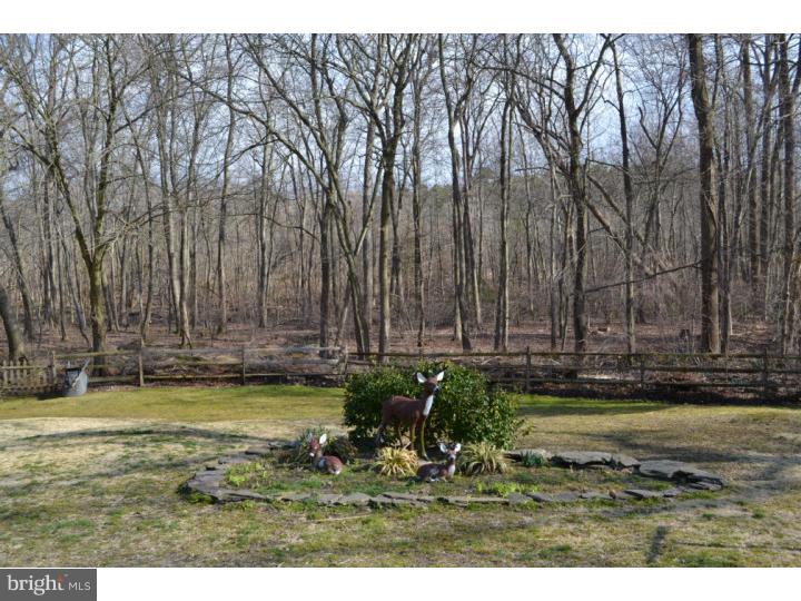 35 Clementon Road West Gibbsboro, NJ 08026 - Photo 14 of 15 Back Yard
