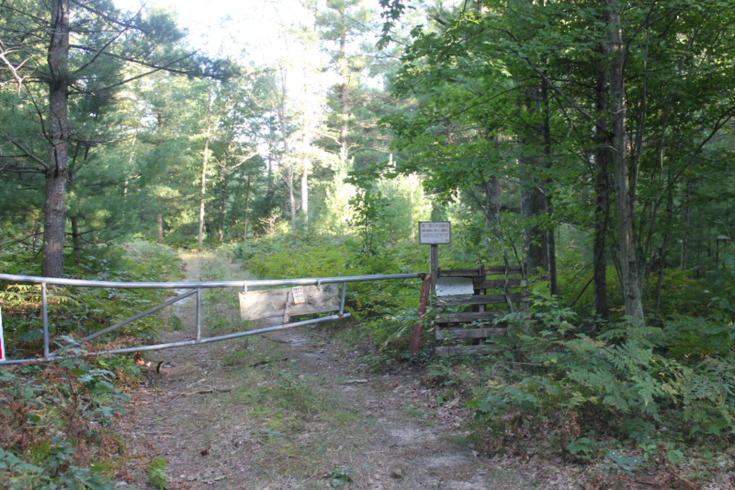 8436 Forest Service Road Irons, MI 49644 - Photo 1 of 36 IMG_8447