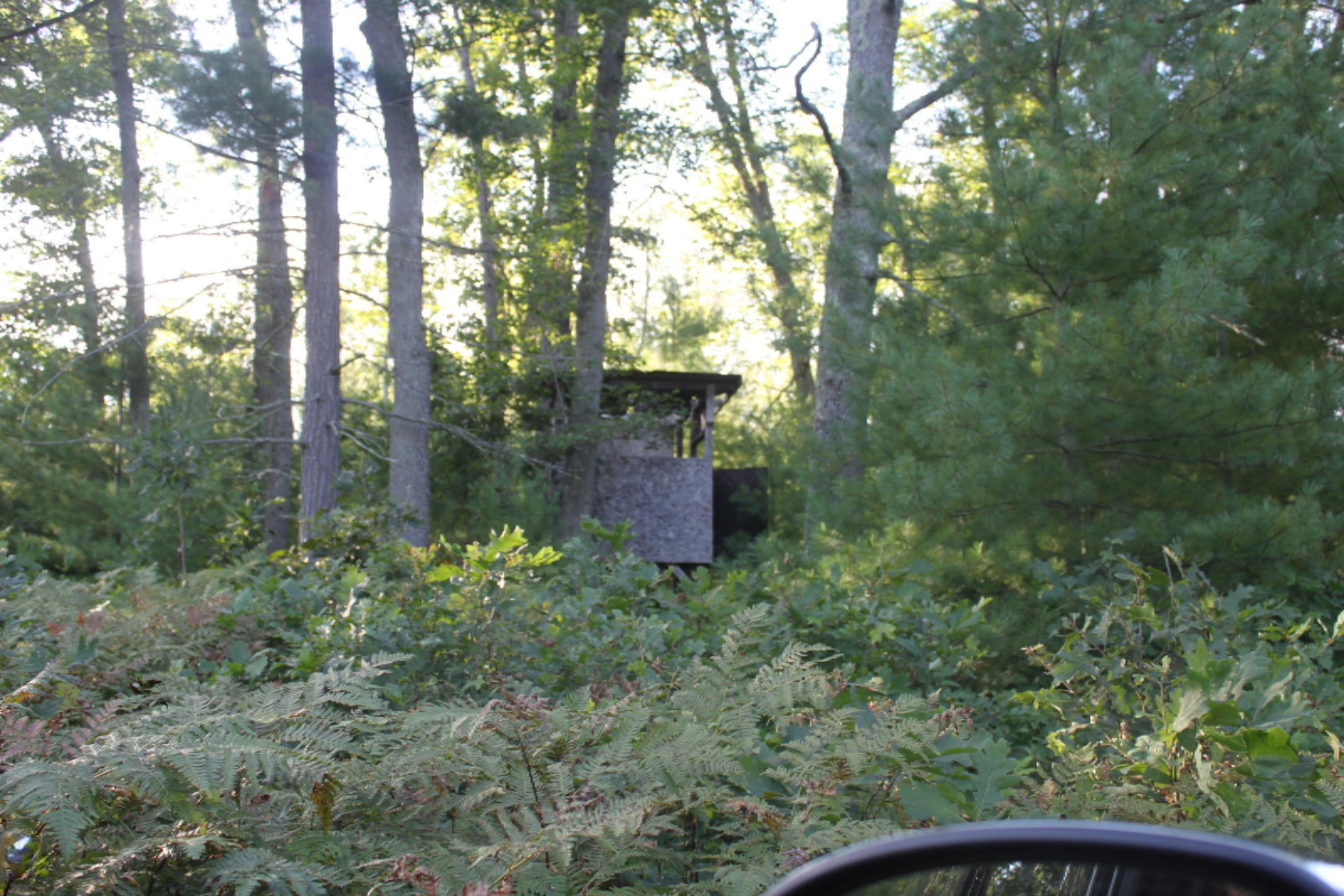 8436 Forest Service Road Irons, MI 49644 - Photo 10 of 36 IMG_8437