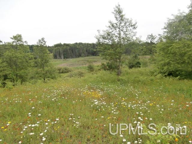 Tbd Ballo Road Crystal Falls, MI 49920 - Photo 12 of 25
