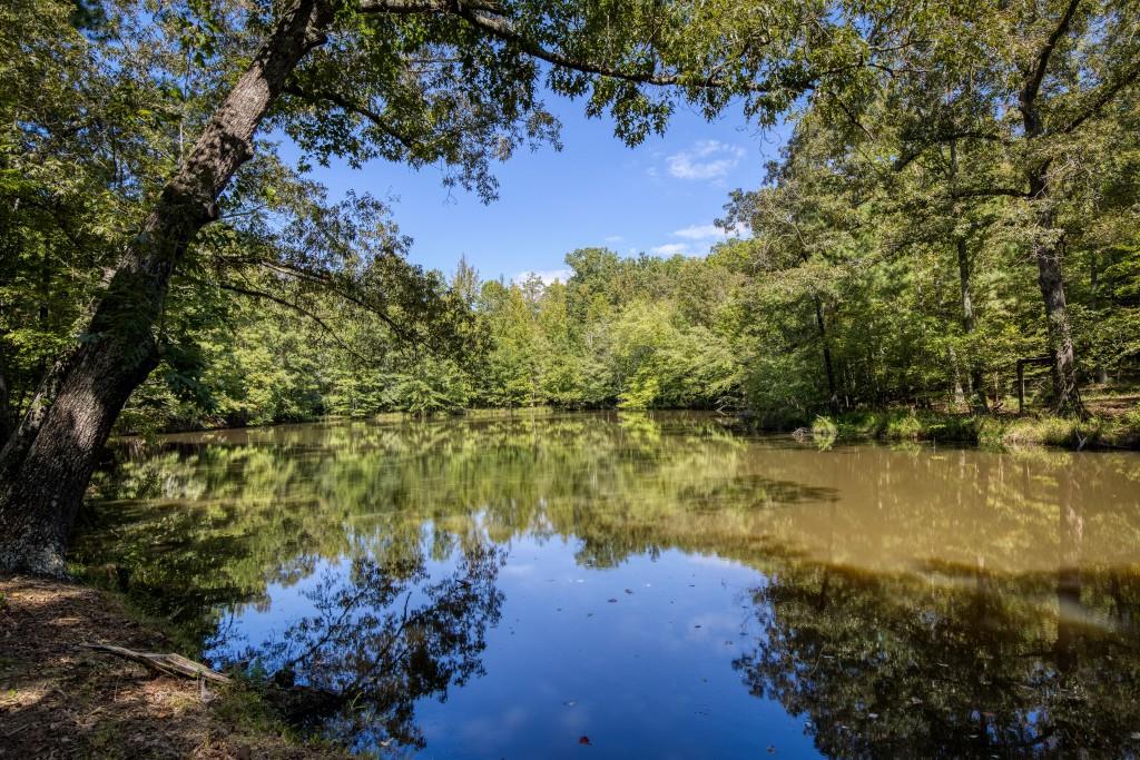 13235 Arnold Mill Road Roswell, GA 30075 - Photo 66 of 72 a view of a lake with houses