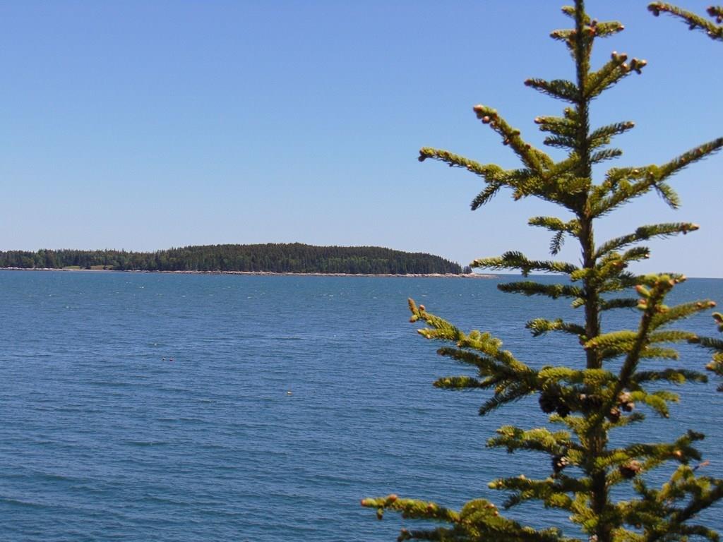 29 Granite Shore Milbridge, ME 04658 - Photo 35 of 35 This was taken from the bench to...