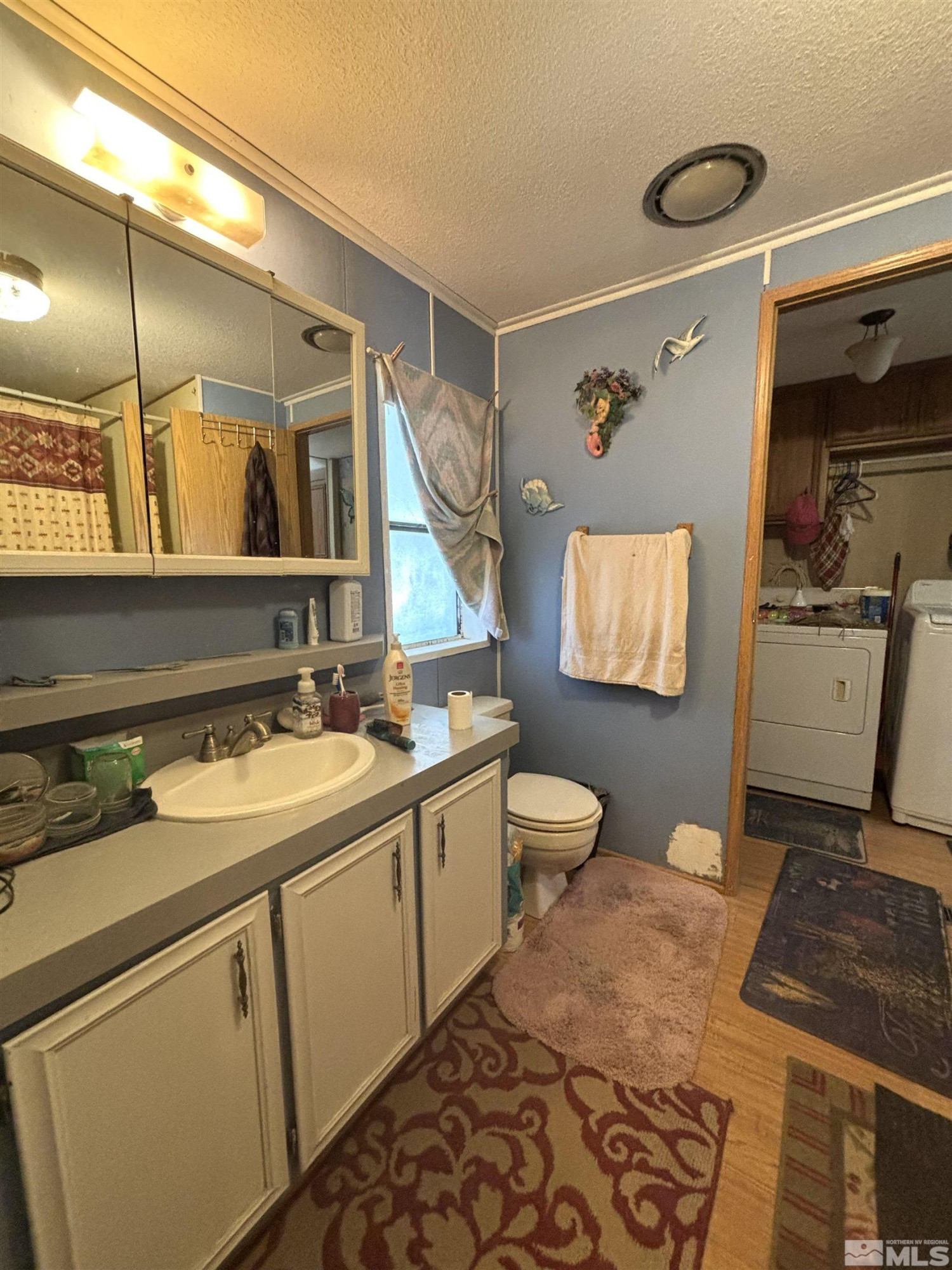 660 South Meridian Road Lovelock, NV 89419 - Photo 9 of 20 a bathroom with a sink and a mirror