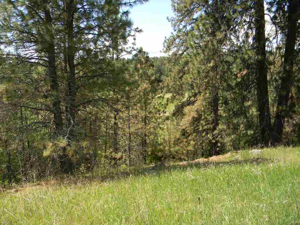 36103 North Findley Road, Unit APPROX ADDRESS Deer Park, WA 99006 - Photo 9 of 13 Gallery Image 9