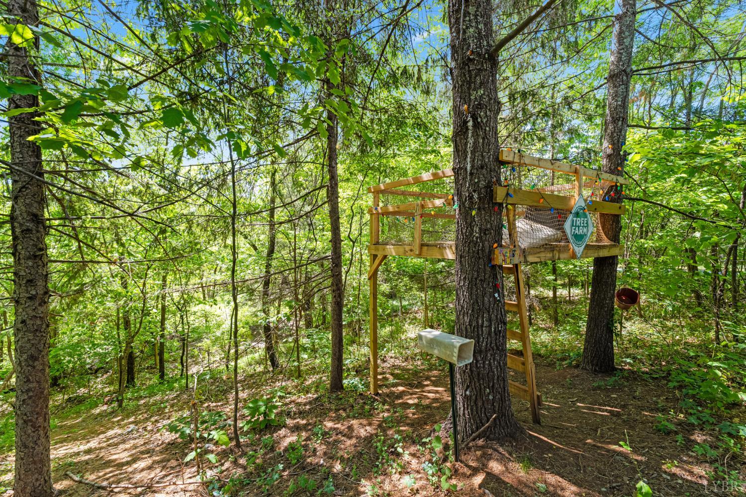1324 Founding Way Road Bedford, VA 24523 - Photo 49 of 58
