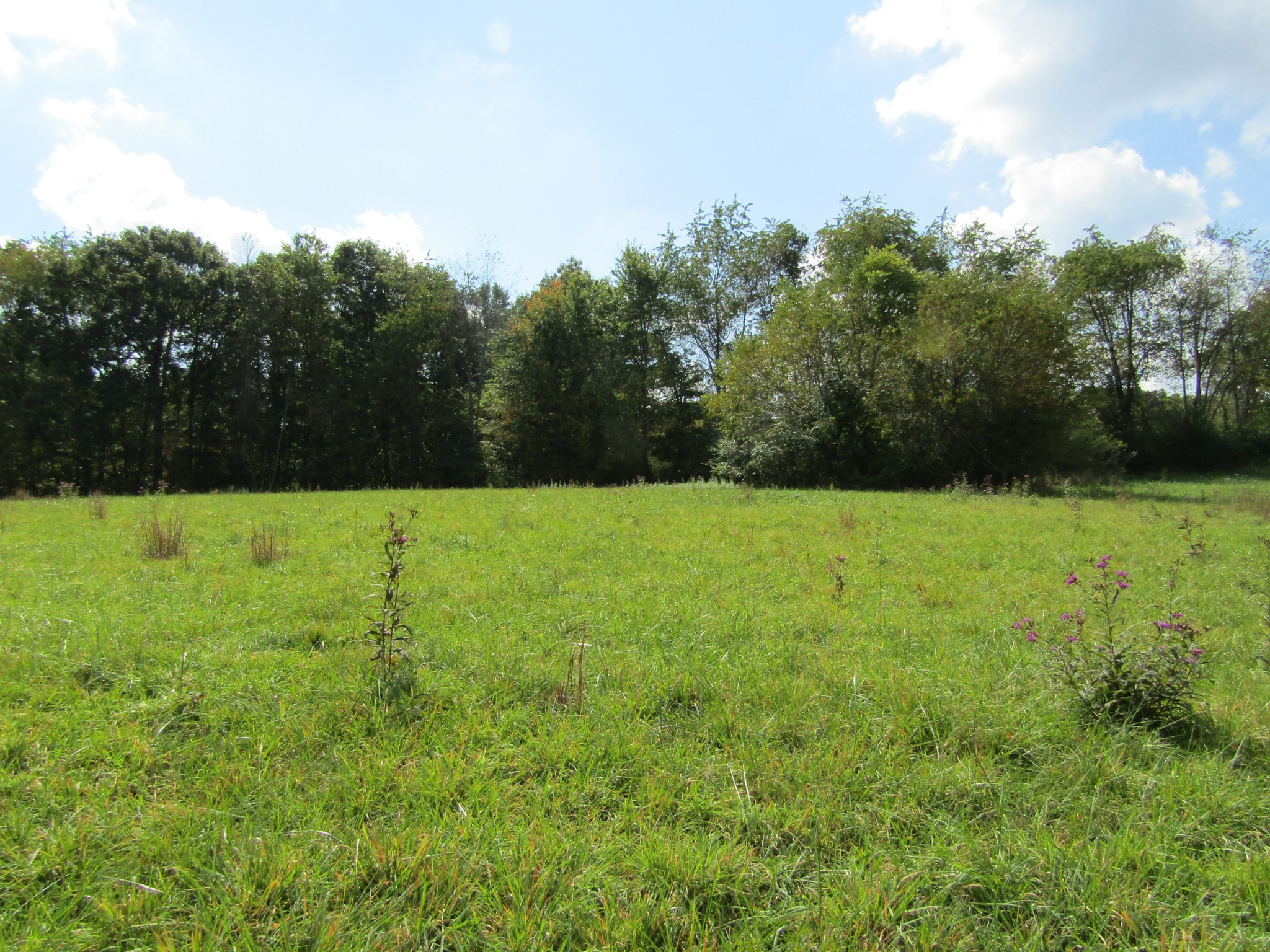 3 9 Hack Beaty Road Grimsley, TN 38565 - Photo 11 of 29