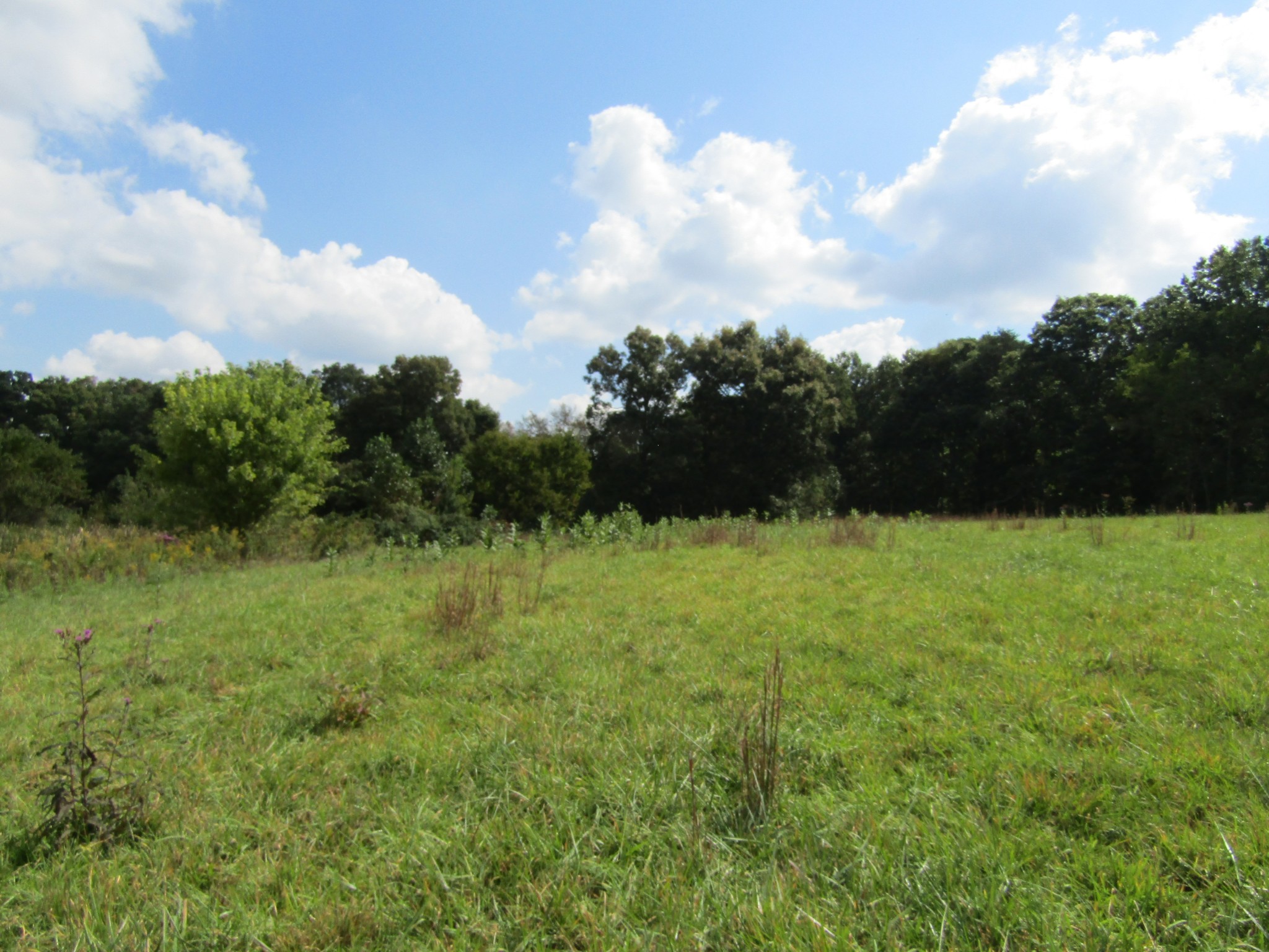 3 9 Hack Beaty Road Grimsley, TN 38565 - Photo 12 of 29